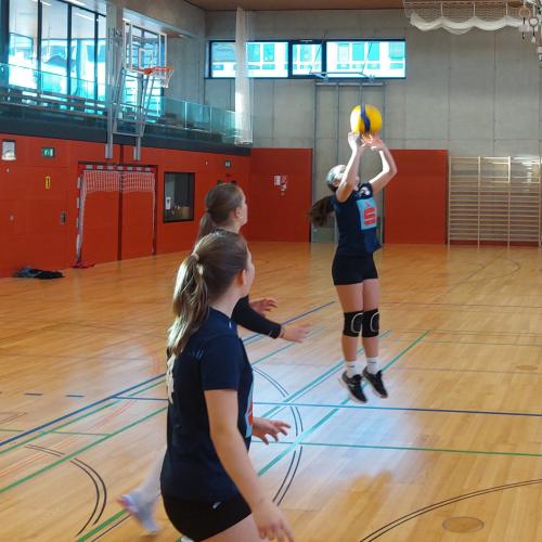 Volleyball