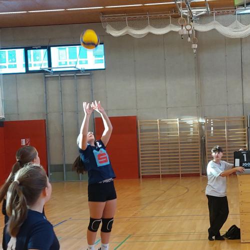Volleyball