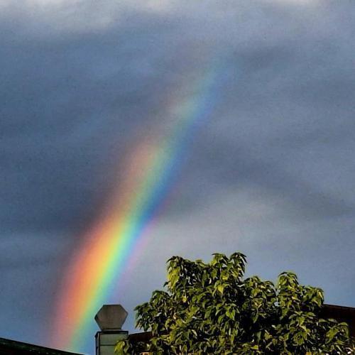 Eröffung TrauerRaum