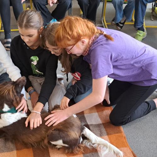 Schulbesuchshund_Bina