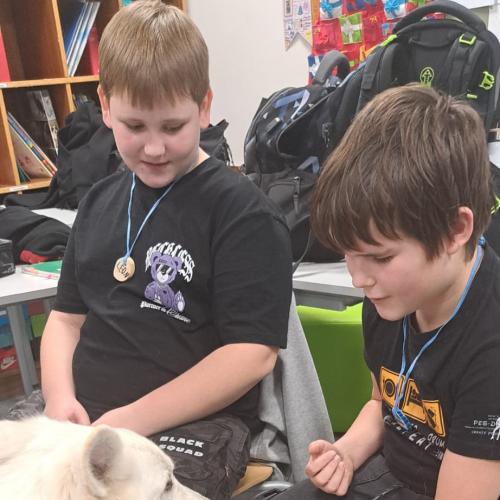 Schulbesuchshund_Sam