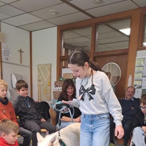 Schulbesuchshund_Sam