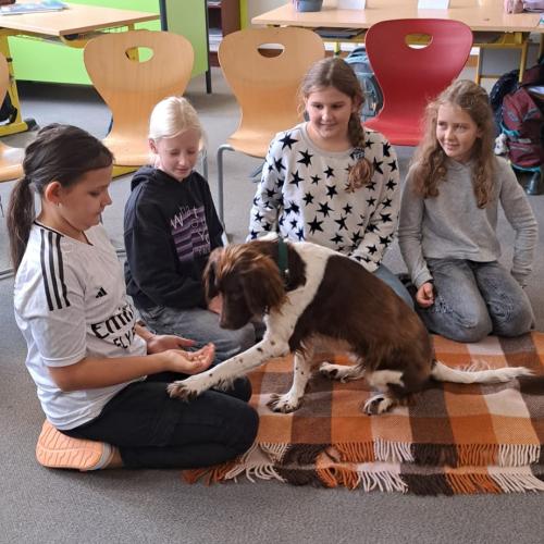 Schulbesuchshund_Bina