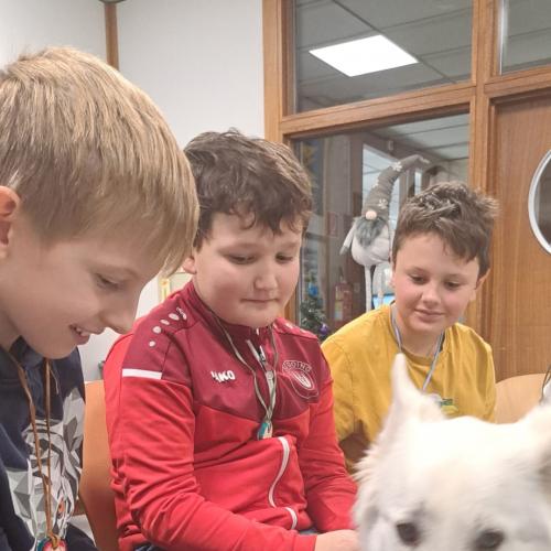 Schulbesuchshund_Sam