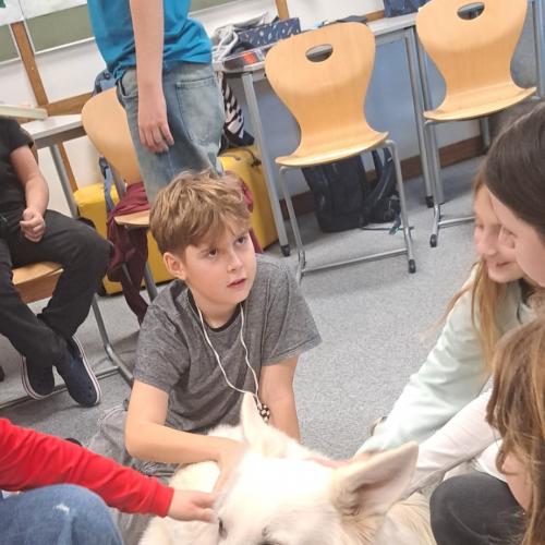 Schulbesuchshund_Sam