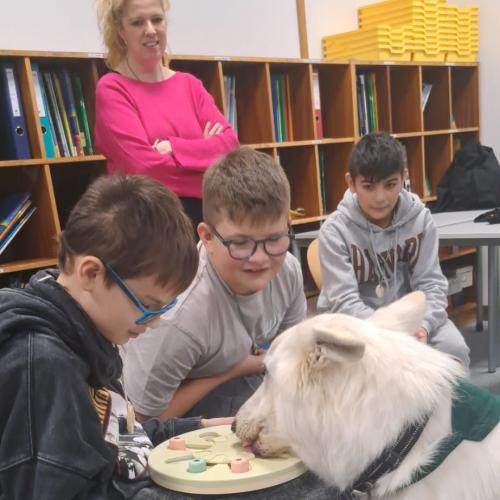 Schulbesuchshund_Sam