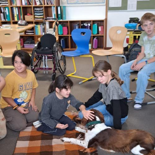 Schulbesuchshund_Bina