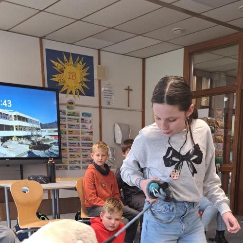 Schulbesuchshund_Sam