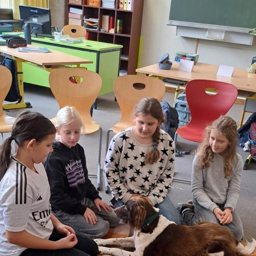 Schulbesuchshund_Bina