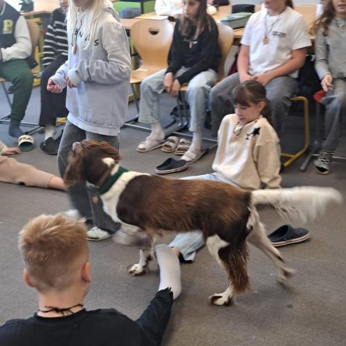 Schulbesuchshund_Bina