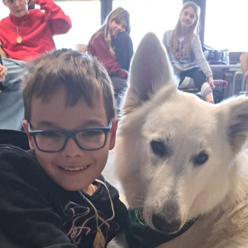 Schulbesuchshund_Sam