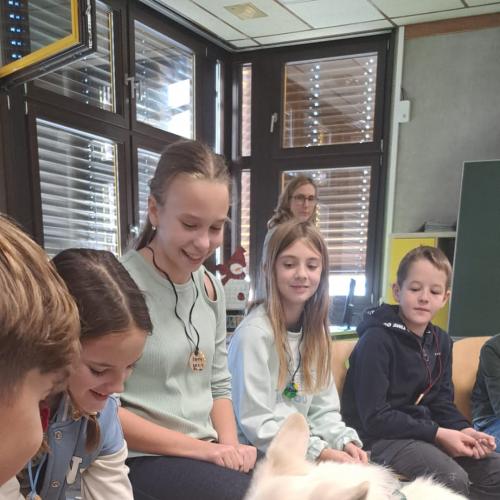 Schulbesuchshund_Sam