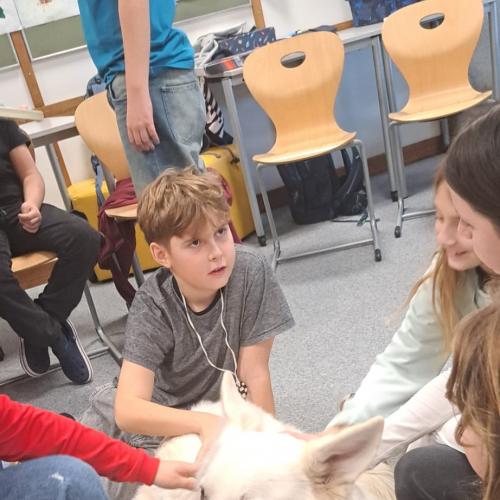 Schulbesuchshund_Sam