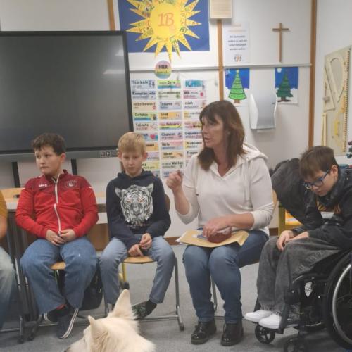 Schulbesuchshund_Sam