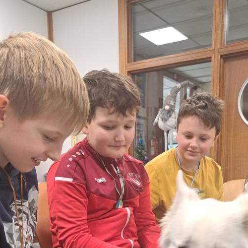 Schulbesuchshund_Sam