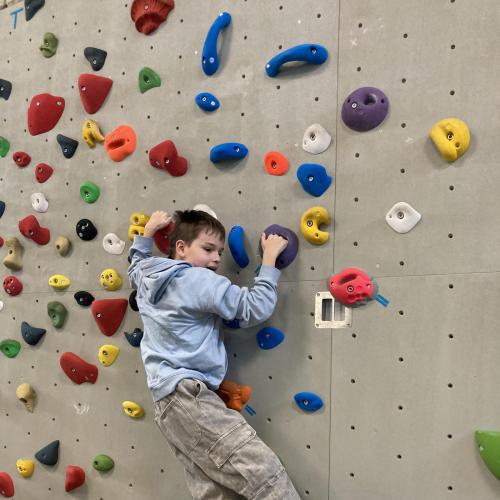 Therapie-Kletterwand 