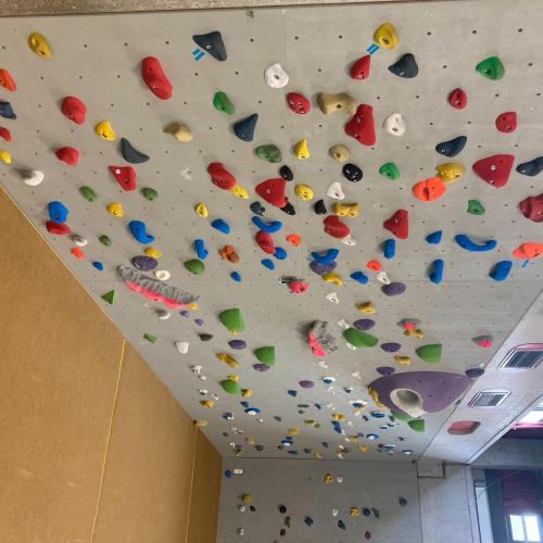 Therapie-Kletterwand 