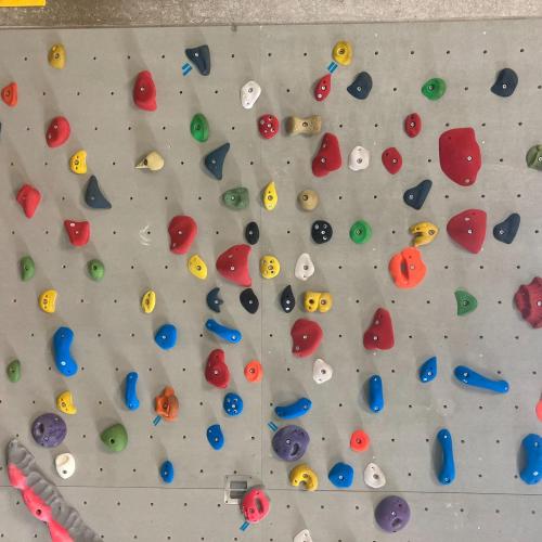 Therapie-Kletterwand 