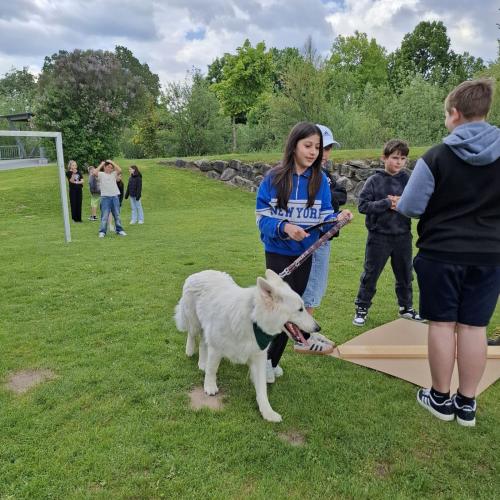 Hindernisparcours mit Sam und Bina