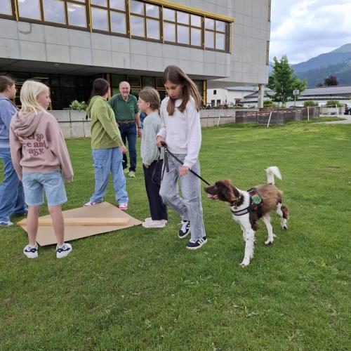 Hindernisparcours mit Sam und Bina