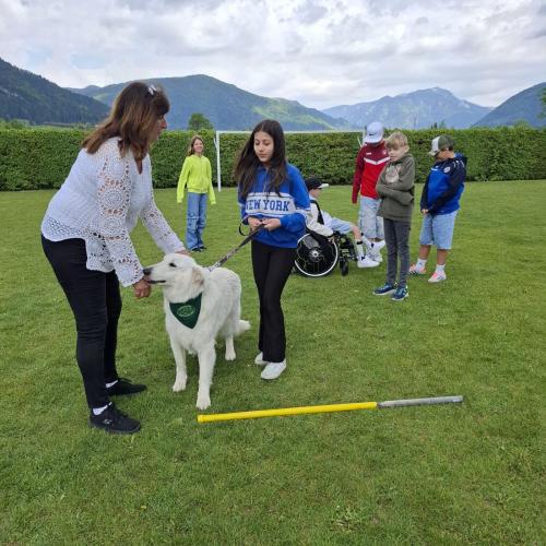 Hindernisparcours mit Sam und Bina