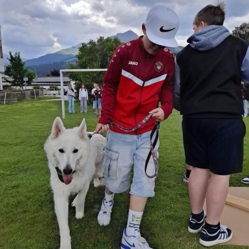 Hindernisparcours mit Sam und Bina