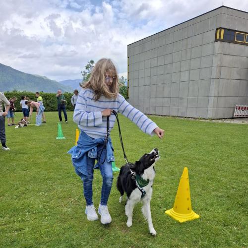 Hindernisparcours mit Sam und Bina