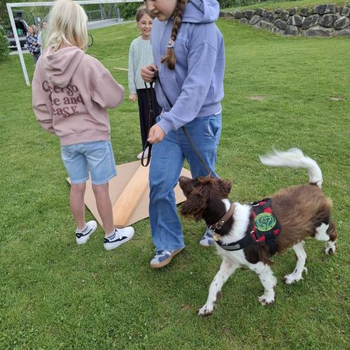 Hindernisparcours mit Sam und Bina