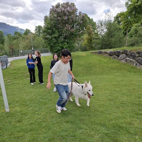 Hindernisparcours mit Sam und Bina