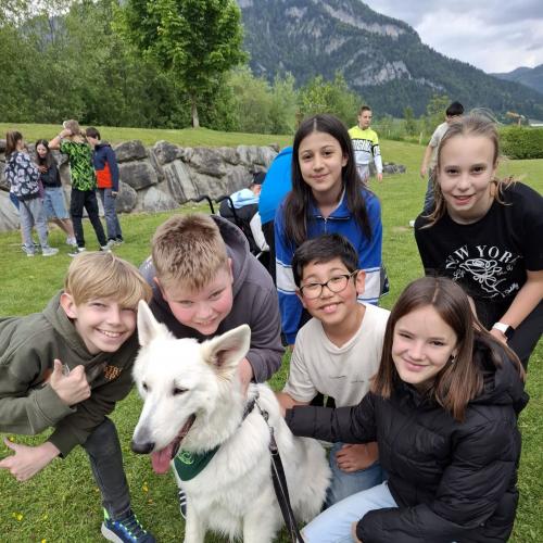 Hindernisparcours mit Sam und Bina