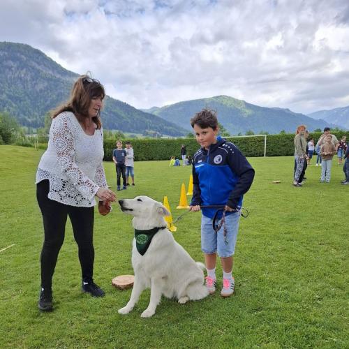 Hindernisparcours mit Sam und Bina