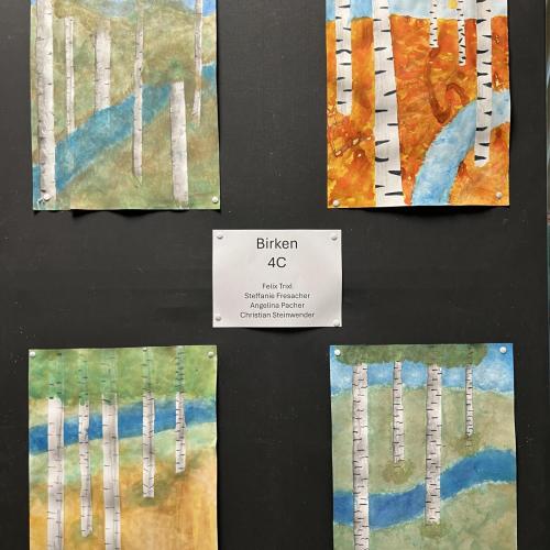 Birken_4C