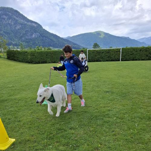 Hindernisparcours mit Sam und Bina