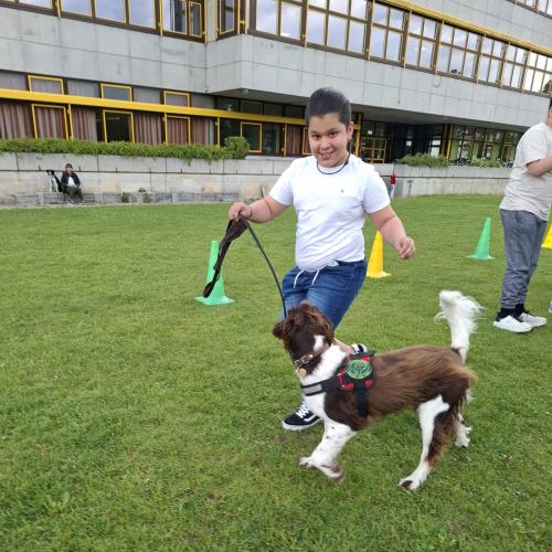 Hindernisparcours mit Sam und Bina