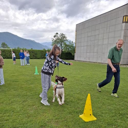 Hindernisparcours mit Sam und Bina