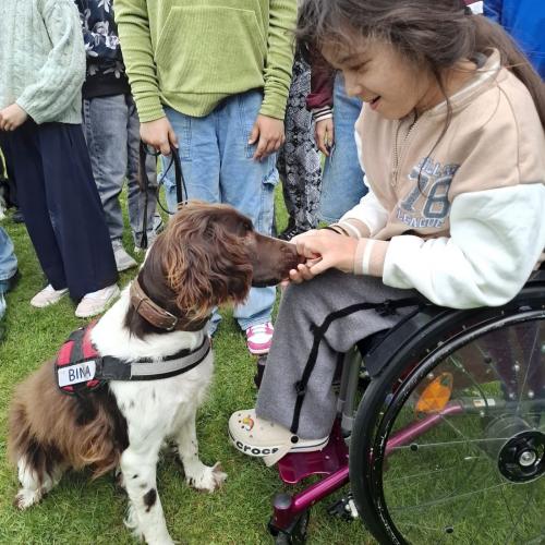 Hindernisparcours mit Sam und Bina