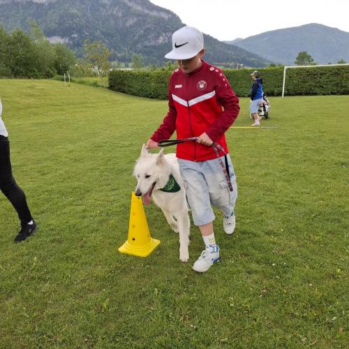 Hindernisparcours mit Sam und Bina