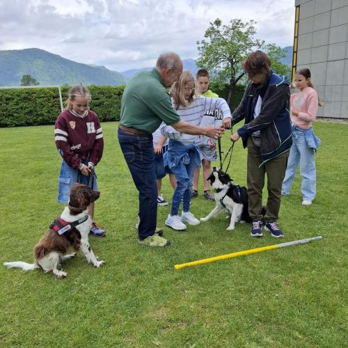 Hindernisparcours mit Sam und Bina