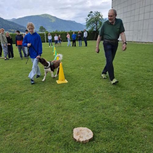 Hindernisparcours mit Sam und Bina