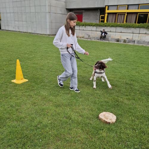 Hindernisparcours mit Sam und Bina