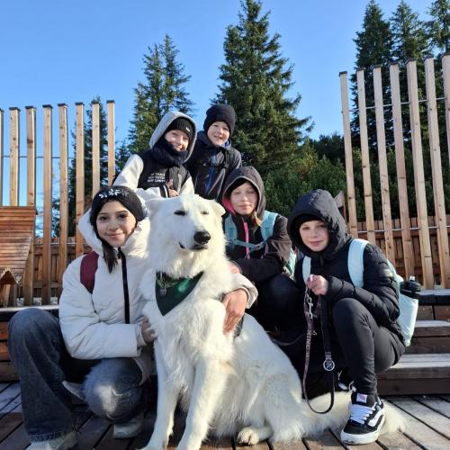 Ausflug mit Bina und Sam