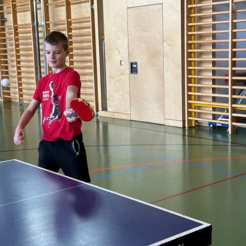 Tischtennis 11