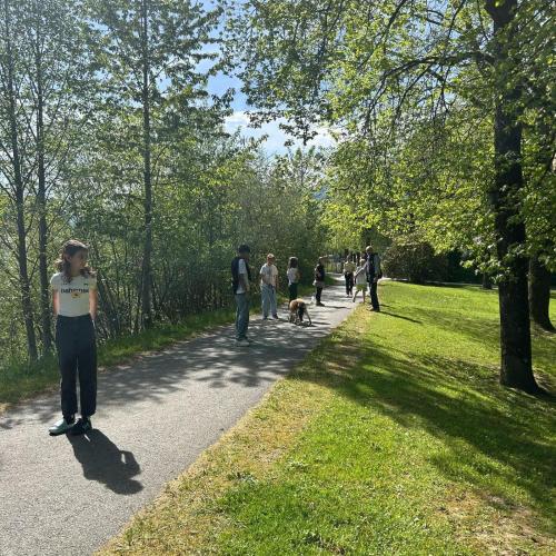 Hunde im Park