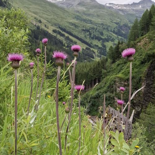 Osttirol 