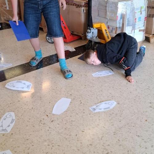 Sommerschule 2