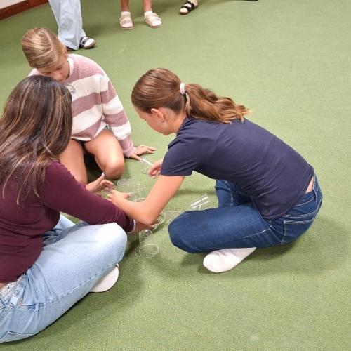 Sommerschule 4
