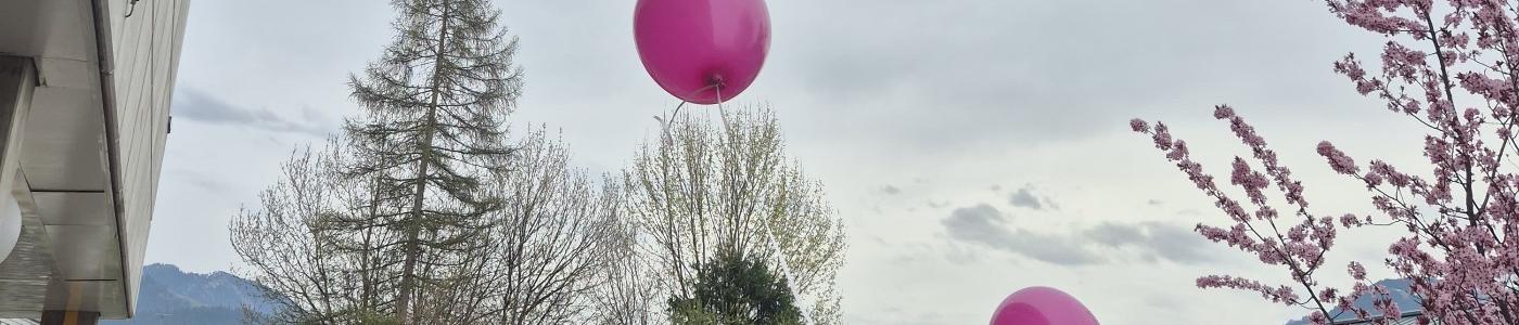 Lesung Christina Pali