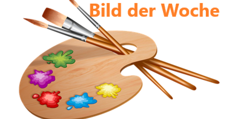 Bild der Woche