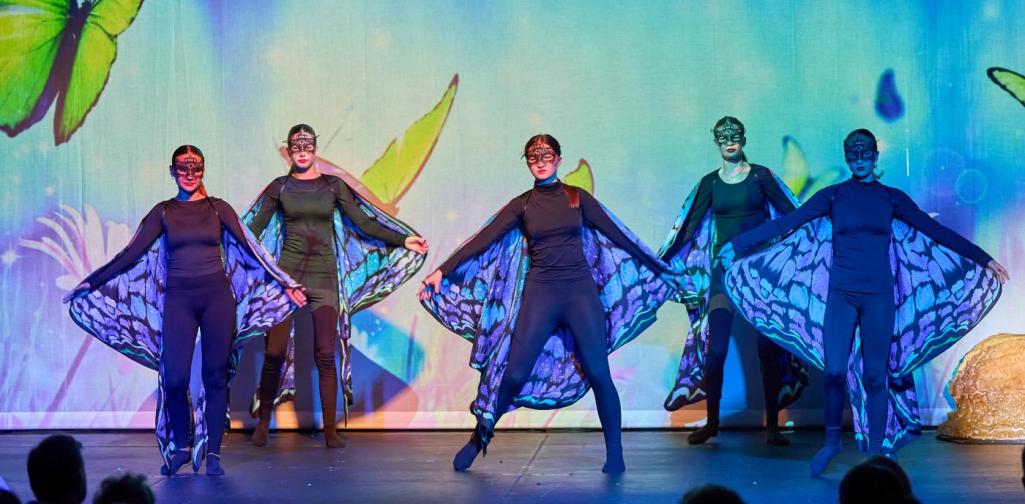 Schmetterlinge Schmetterlinge