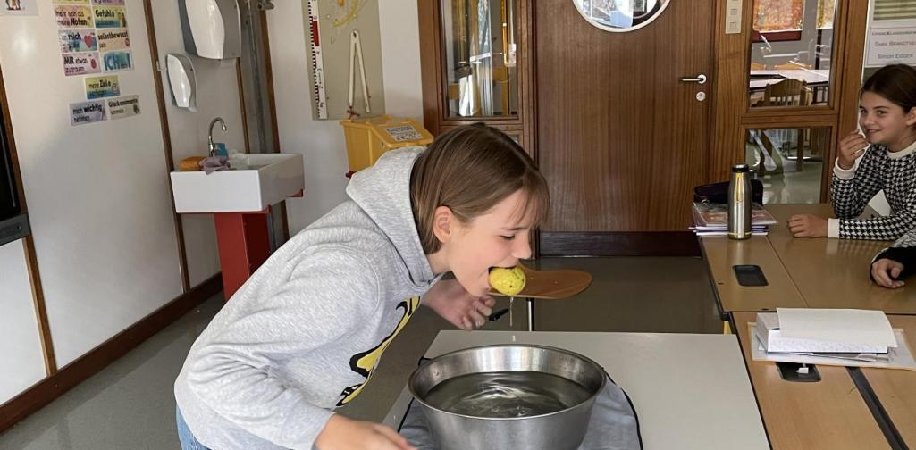 Apple Bobbing 3 Apple Bobbing 3